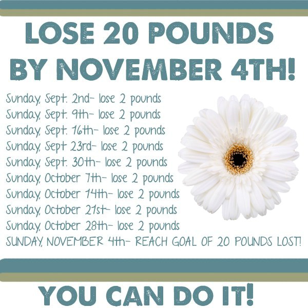 how to lose 20 pounds with hypothyroidism